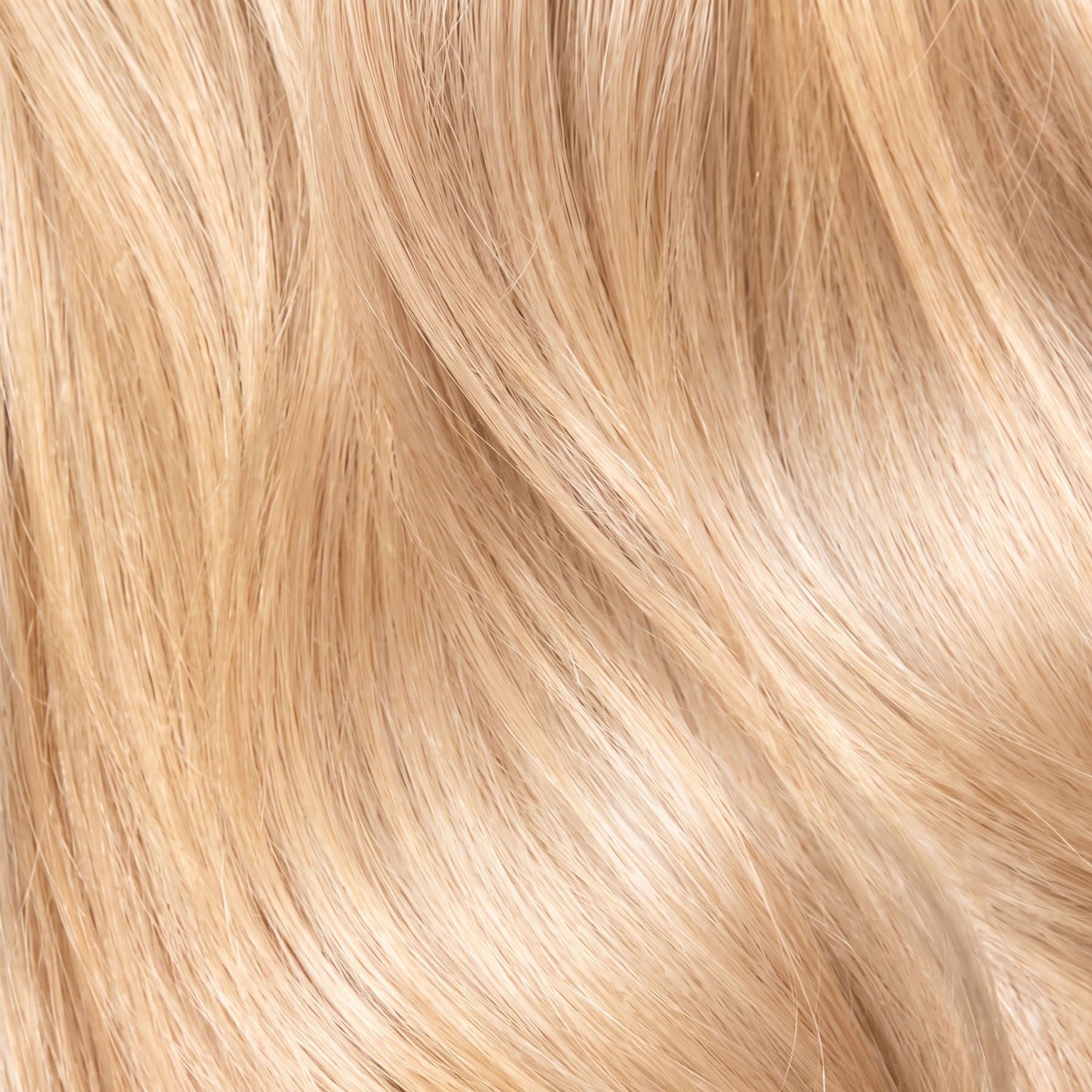 Hair extension color 10.21