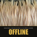 Bleached blonde hair - Offline format in Berlin, industrial hair bleaching and coloring course