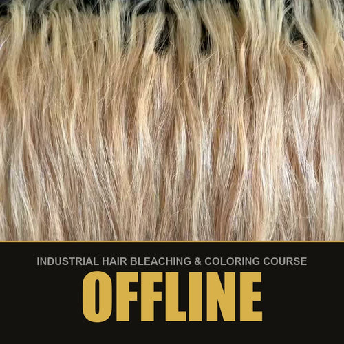 Bleached blonde hair - Offline format in Berlin, industrial hair bleaching and coloring course