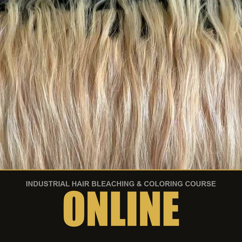Bleached blonde hair - Online format of the industrial hair bleaching and coloring course