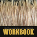 Bleached blonde hair - Workbook format of the industrial hair bleaching and coloring course
