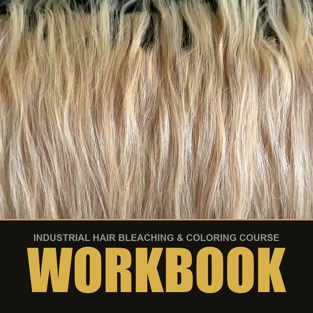 Bleached blonde hair - Workbook format of the industrial hair bleaching and coloring course